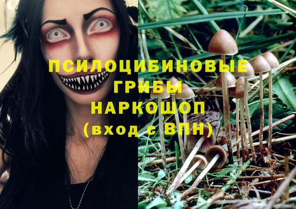 прущая мука Алзамай