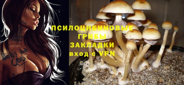 героин Алексеевка