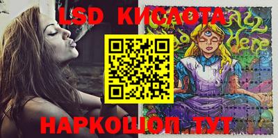 индика Рузаевка