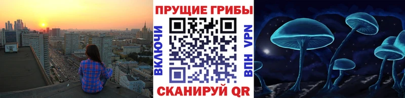 Галлюциногенные грибы мицелий  Чистополь 