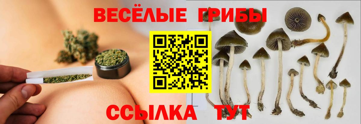 Чистополь  как найти наркотики  Вход с VPN  Псилоцибиновые грибы мицелий 