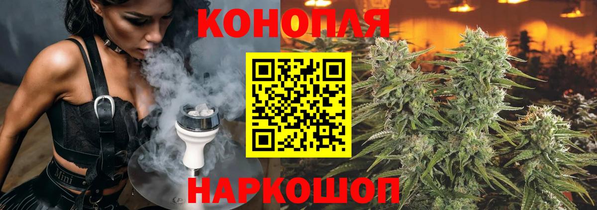 Бошки марихуана сатива Чистополь